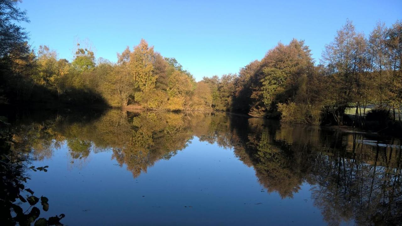 Gite Des Etangs De Beaulieu Le Plessis-Dorin Exterior foto